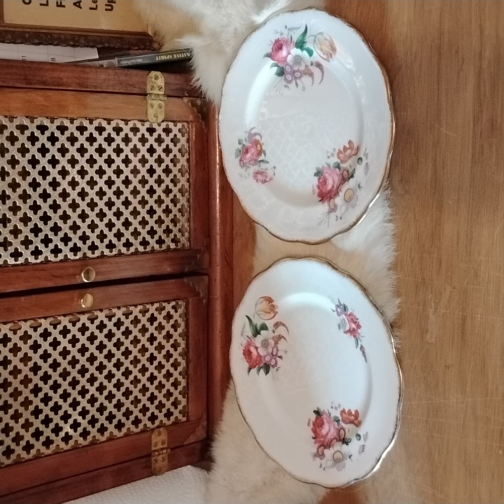 . Royal Albert "Lady Angela" Bone China Floral 8" Plates (2)